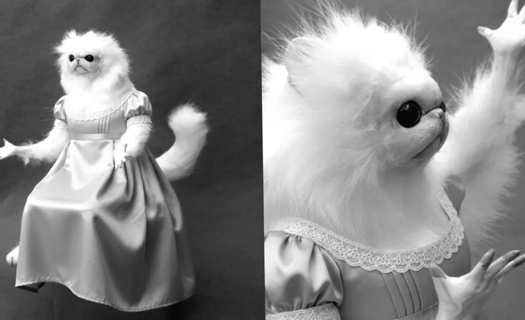 So habe ich mit KI meine eigenen Reaktions-Memes, Sticker und GIFs erschaffen – das überraschende Ergebnis!