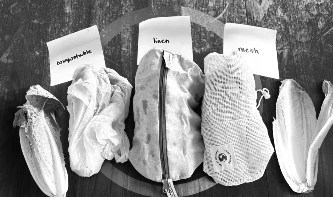 Drei Materialien für Obst- und Gemüsebeutel im Test: Welches hält Lebensmittel wirklich länger frisch?