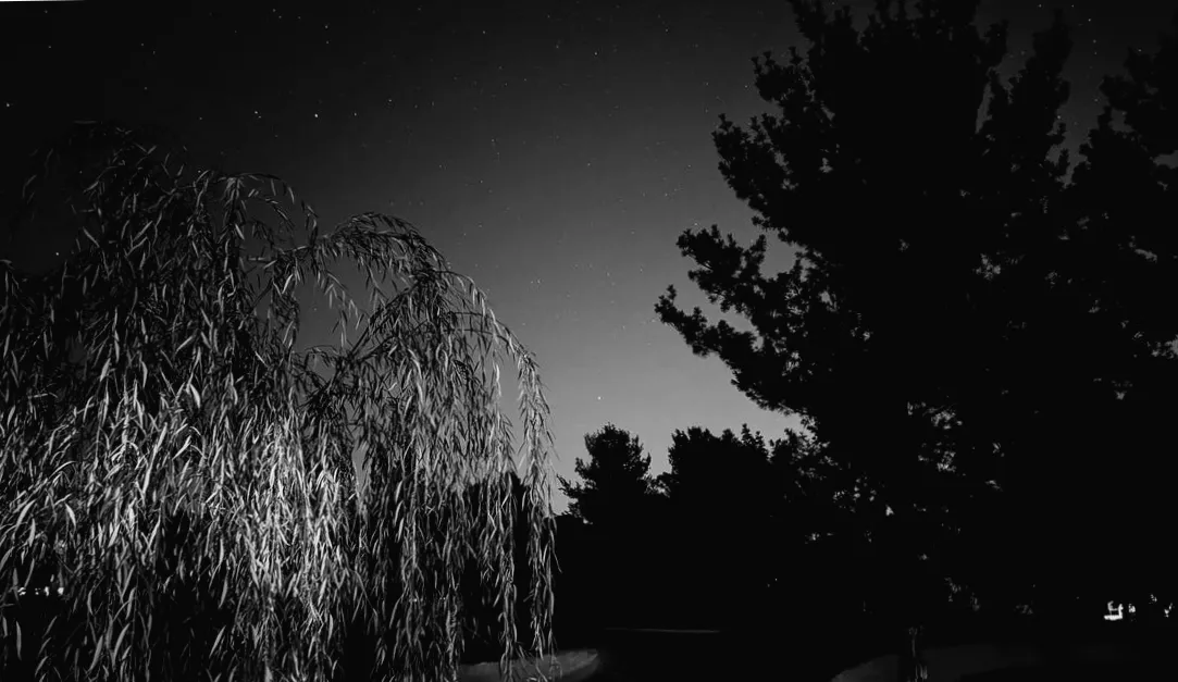 Mystische Polarlichter über den USA: In 15 Staaten könnte diese Woche ein seltenes Himmelsphänomen sichtbar werden