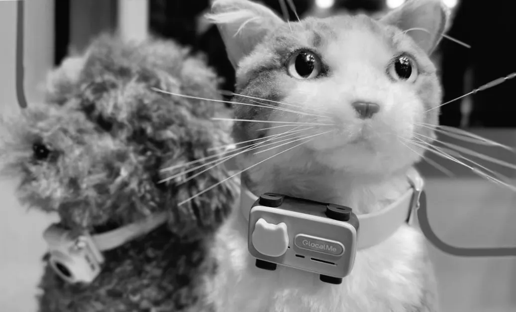 Wenn Ihre Katze Sie anruft: Das geheimnisvolle PetPhone für schnurrende Verbindungen