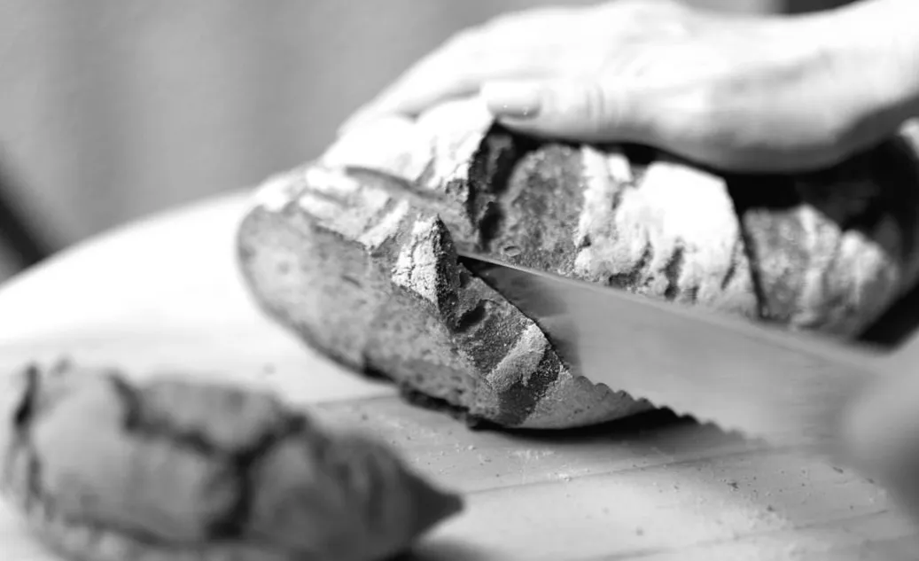 Mit diesen 12 Lebensmitteln lag ich völlig falsch – ihre verborgenen Gesundheitsvorteile haben mich überrascht