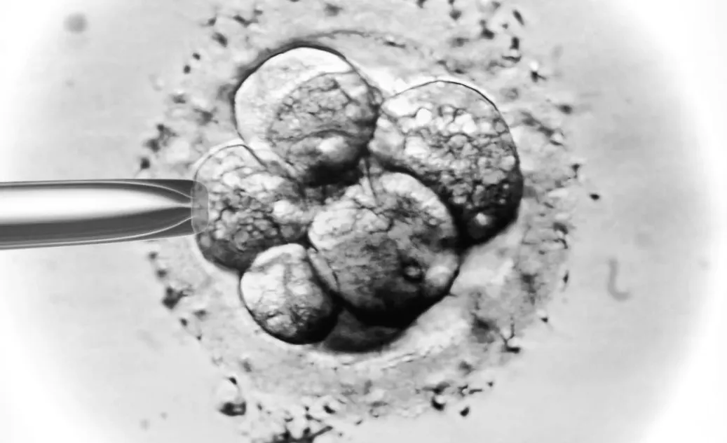 "Wie ChatGPT meine 2-jährige IVF-Reise begleitete: Unverhoffte Unterstützung und Erkenntnisse"