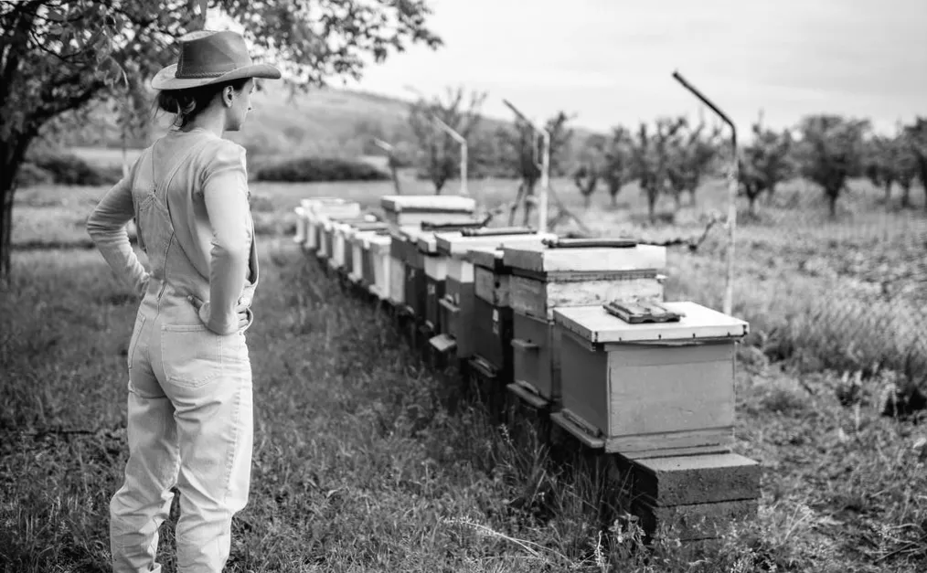 KI schlägt mir Hobbys vor – von Bienenpflege bis Sternenkunde: Was steckt dahinter?