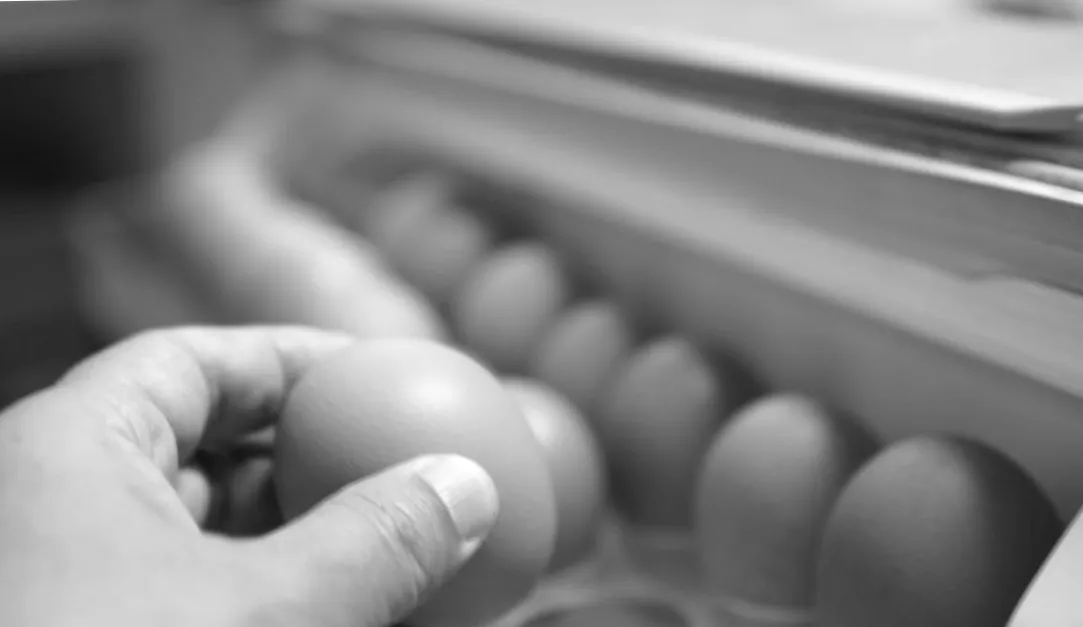 Sind Eier nach dem "Mindesthaltbarkeitsdatum" noch genießbar? So erkennen Sie, ob sie noch sicher sind