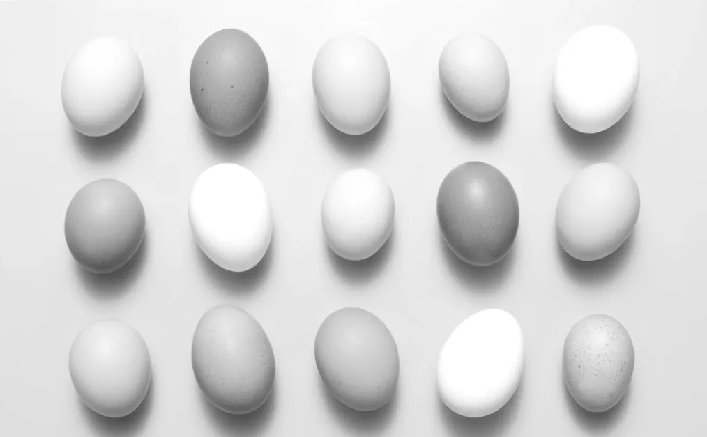 Eier bleiben länger frisch, als man denkt: So erkennt man, ob sie noch genießbar sind.