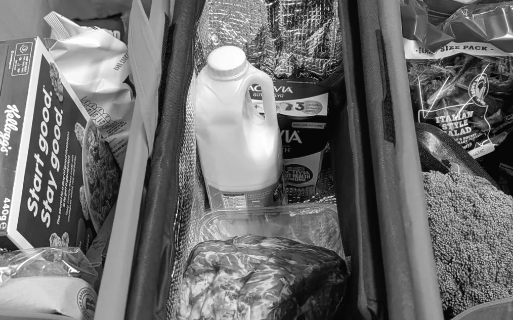 Meine neue Besessenheit: Geniale Einkaufstaschen, die sich am Wagen befestigen und das Sortieren erleichtern