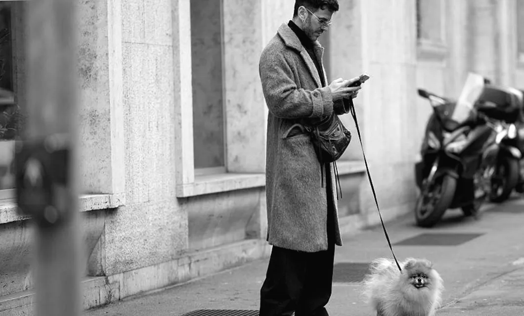 Neue KI begleitet Hunde: Digitale Gesundheit im Wandel