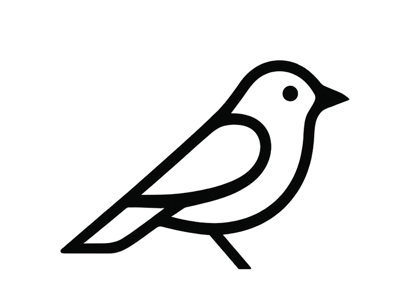 Apple Aktualisierte das Falsche iPad – Was geht hier schief?