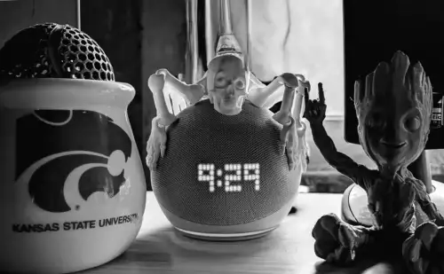 83 Alexa-Befehle, die dir Geschichte näherbringen, zum Lachen bringen, ein Buch vorlesen und noch viel mehr!