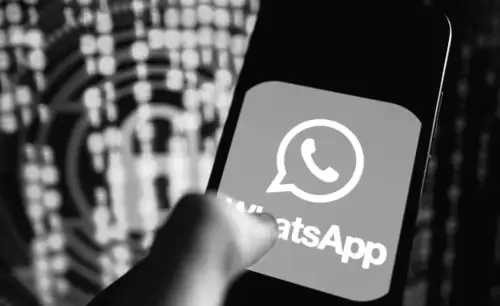 WhatsApp empfiehlt Mullvad und Amnezia VPNs als Lösung für Blockaden