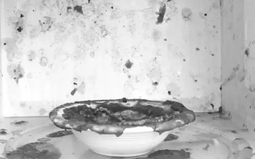 "Die 2-Minuten-Mikrowellenreinigung: Effektiv ohne Chemikalien"