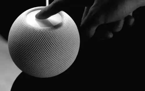 Hat der Super Bowl Sie überzeugt, Apple Music auszuprobieren? So übertragen Sie Ihre Playlists!