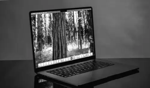 Die besten MacBooks im Test: Unsere Empfehlungen für Januar 2026