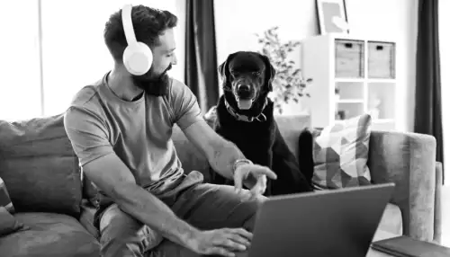 Alles, was Sie je über Haustierkameras wissen wollten – und mehr!