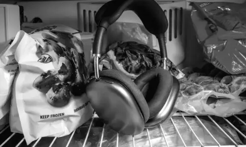 Meine echten AirPods Max funktionieren nicht mehr – das passierte, als ich sie in den Gefrierschrank legte.