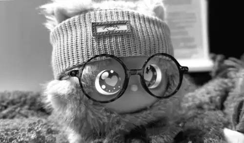 Vorsicht Labubu: Ein mysteriöser Neuzugang – iMoochi taucht auf