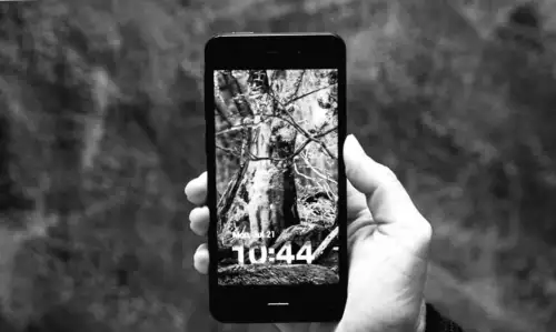 Amazon plant angeblich ein geheimes Alexa-Telefon: Shopping und KI im Fokus