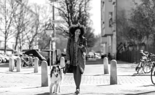 So erreichst du täglich 10.000 Schritte – Experten verraten ihre geheimen Strategien